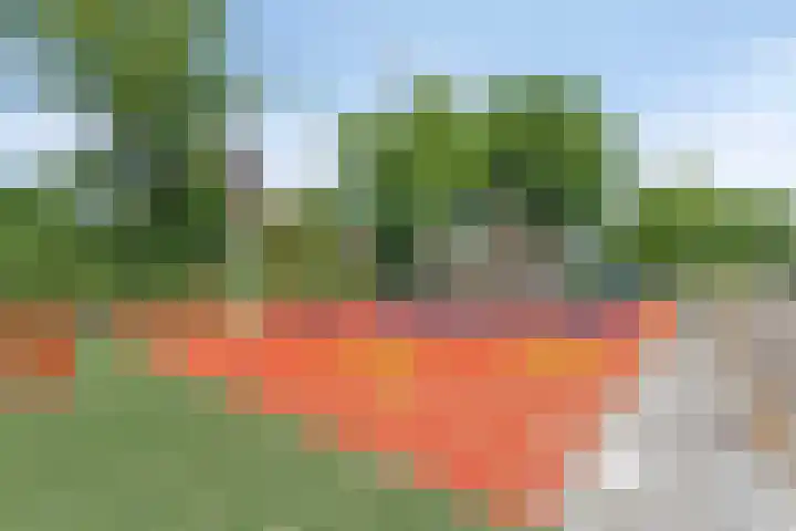 Vermeulenstraat 7 Noordwijkerhout thumbnail 40