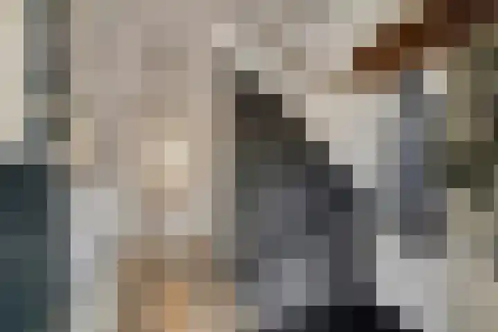 Vermeulenstraat 7 Noordwijkerhout thumbnail 7