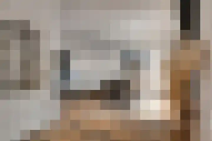 Vermeulenstraat 7 Noordwijkerhout thumbnail 9