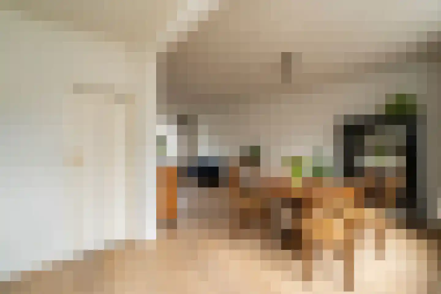 Vermiljoenstraat 2 Tilburg thumbnail 13