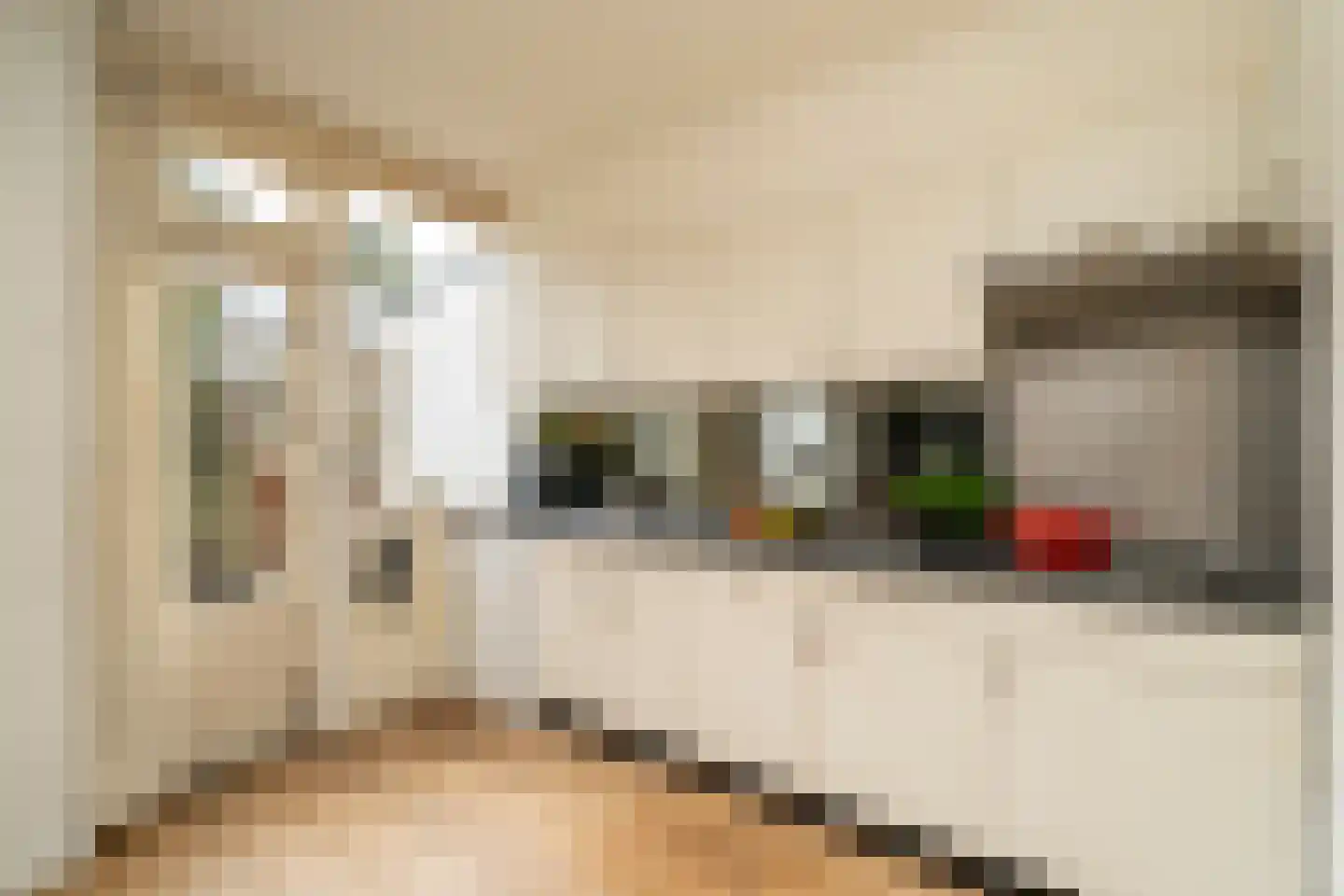 Vermiljoenstraat 2 Tilburg thumbnail 14