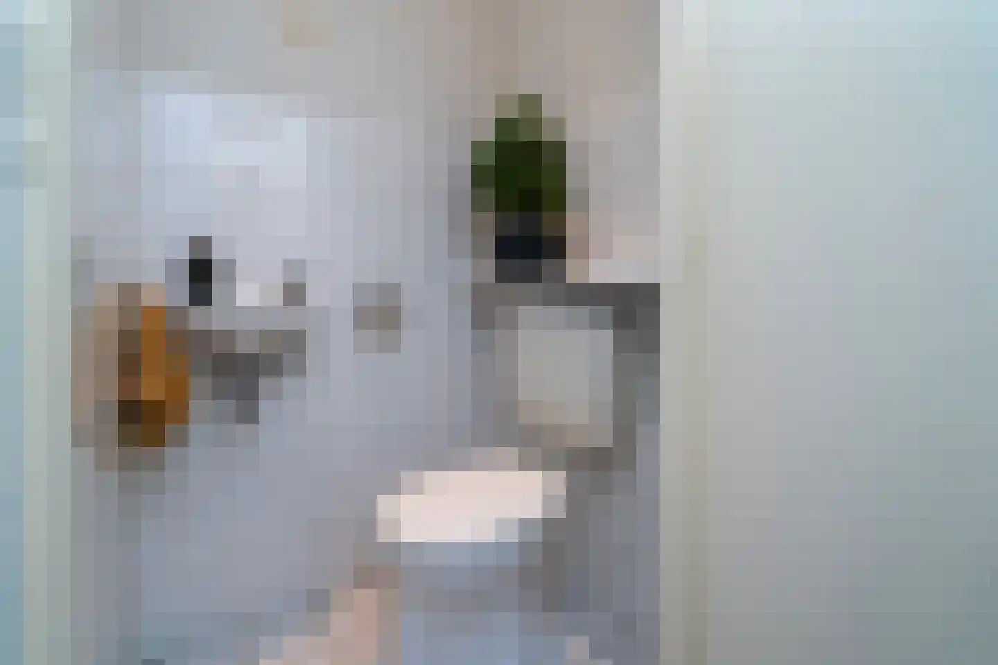 Vermiljoenstraat 2 Tilburg thumbnail 16