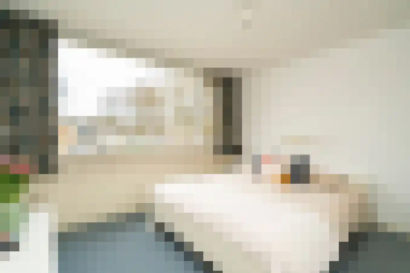 Vermiljoenstraat 2 Tilburg thumbnail 18