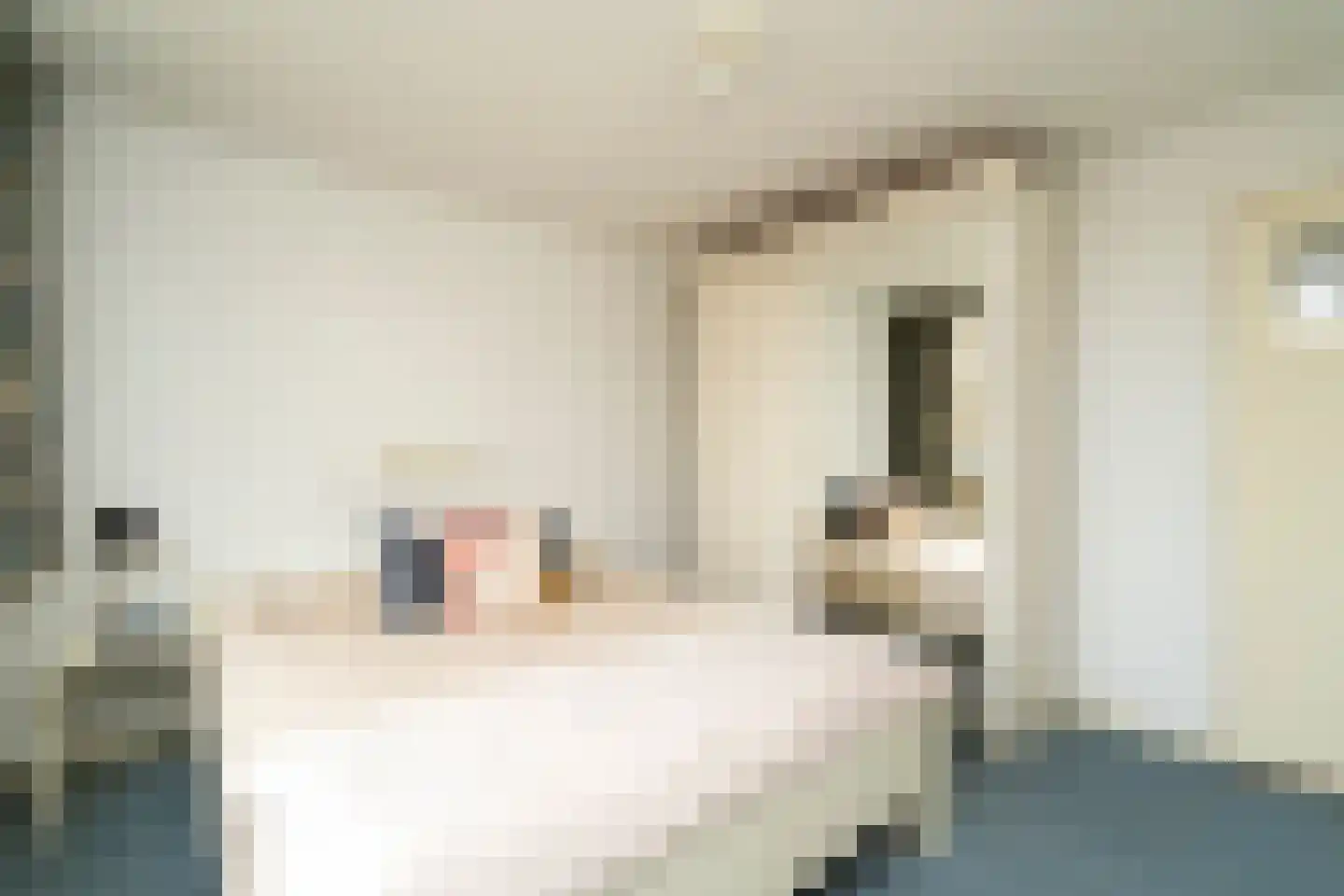 Vermiljoenstraat 2 Tilburg thumbnail 20