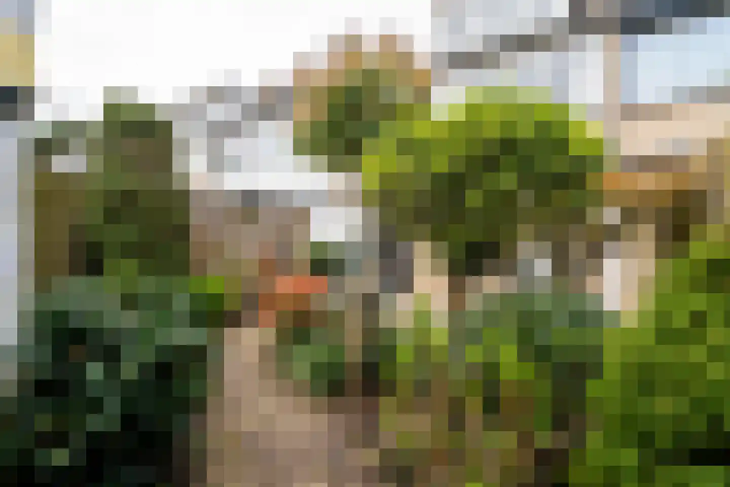 Vermiljoenstraat 2 Tilburg thumbnail 36