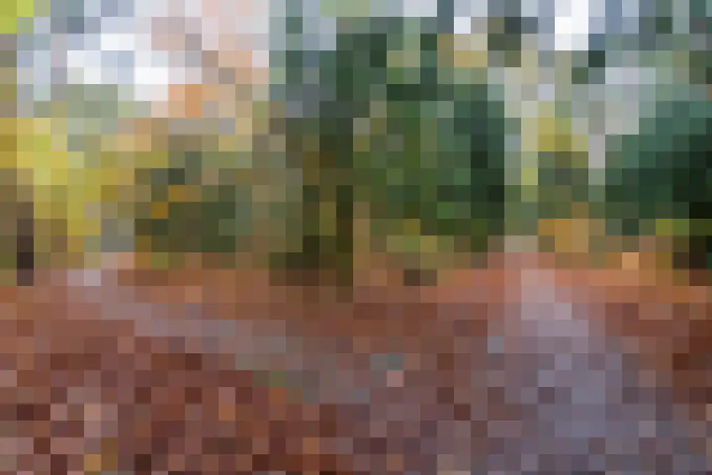 Vermiljoenstraat 2 Tilburg thumbnail 41