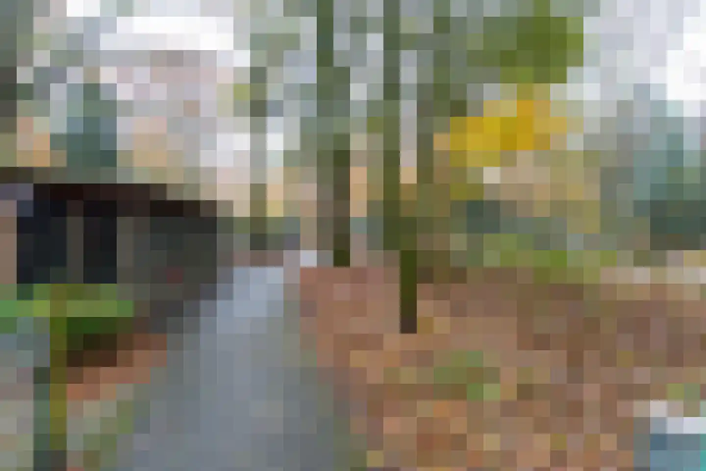 Vermiljoenstraat 2 Tilburg thumbnail 42