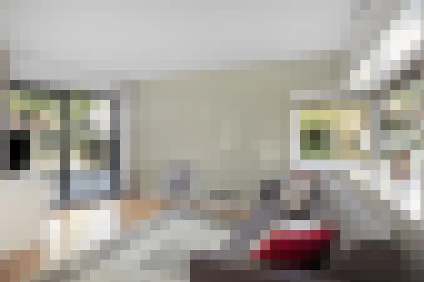 Vermiljoenstraat 4 Almere thumbnail 14