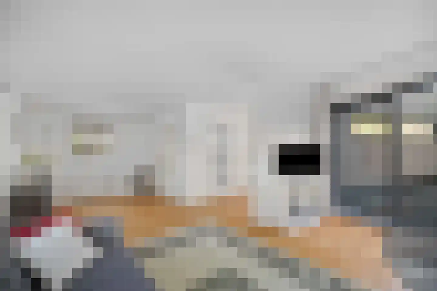 Vermiljoenstraat 4 Almere thumbnail 15
