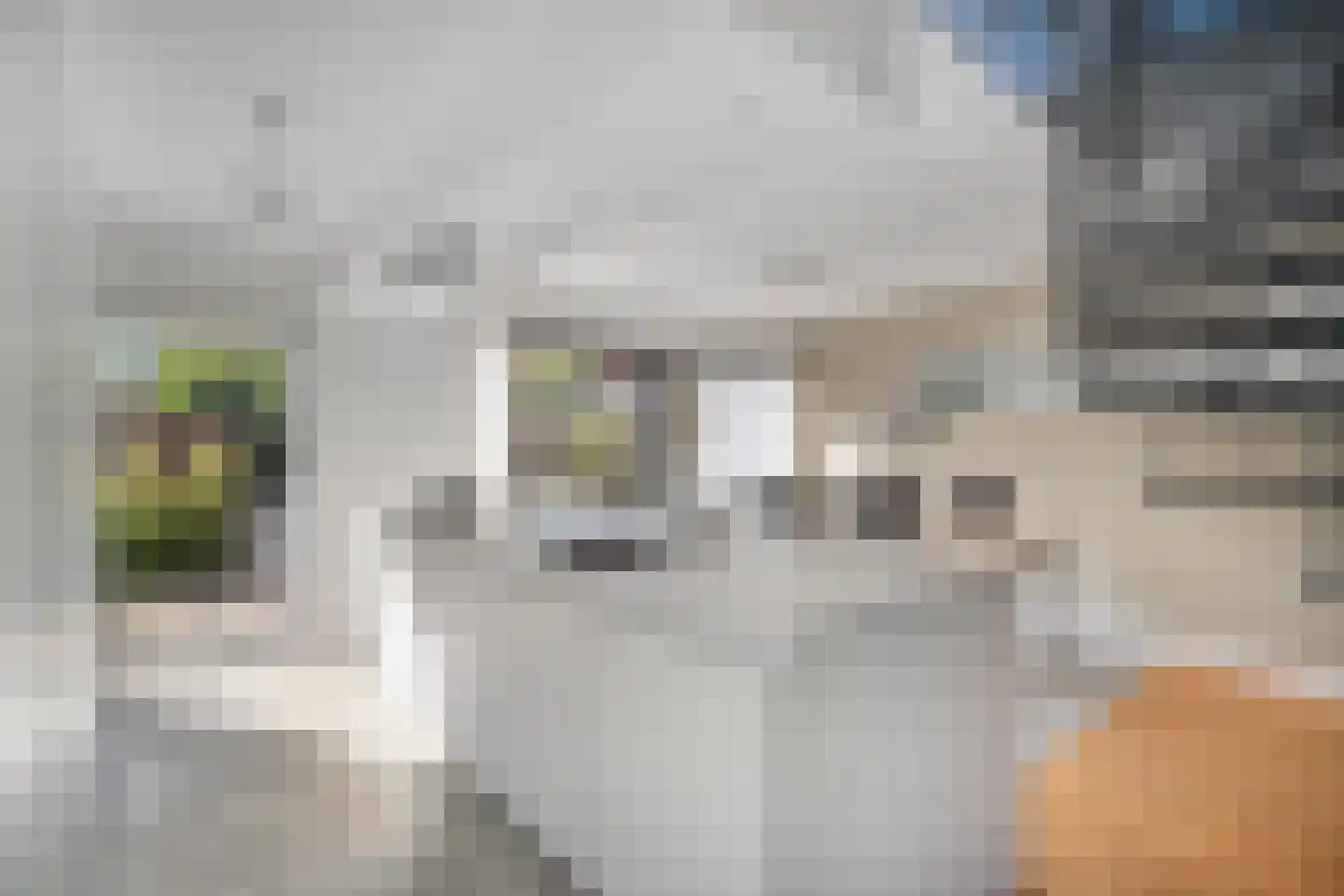 Vermiljoenstraat 4 Almere thumbnail 27