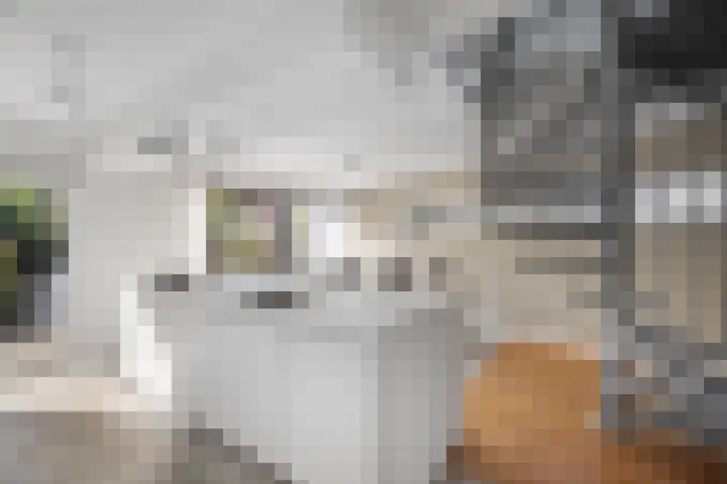 Vermiljoenstraat 4 Almere thumbnail 28