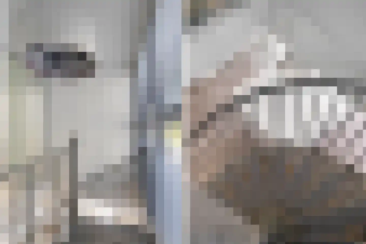 Vermiljoenstraat 4 Almere thumbnail 33
