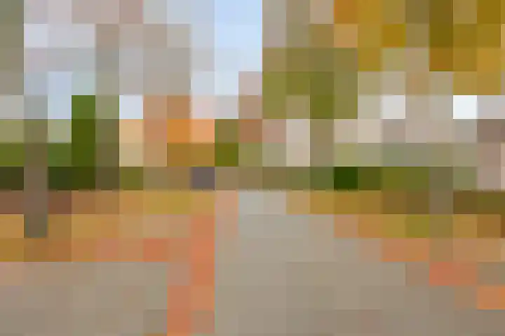 Vermiljoenstraat 5 Almere thumbnail 27