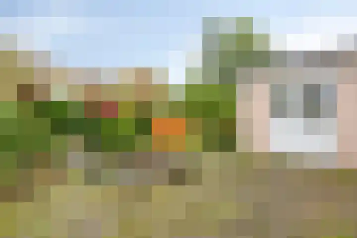 Vermiljoenstraat 5 Almere thumbnail 32
