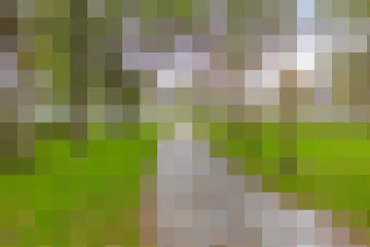 Vermiljoenstraat 5 Almere thumbnail 37