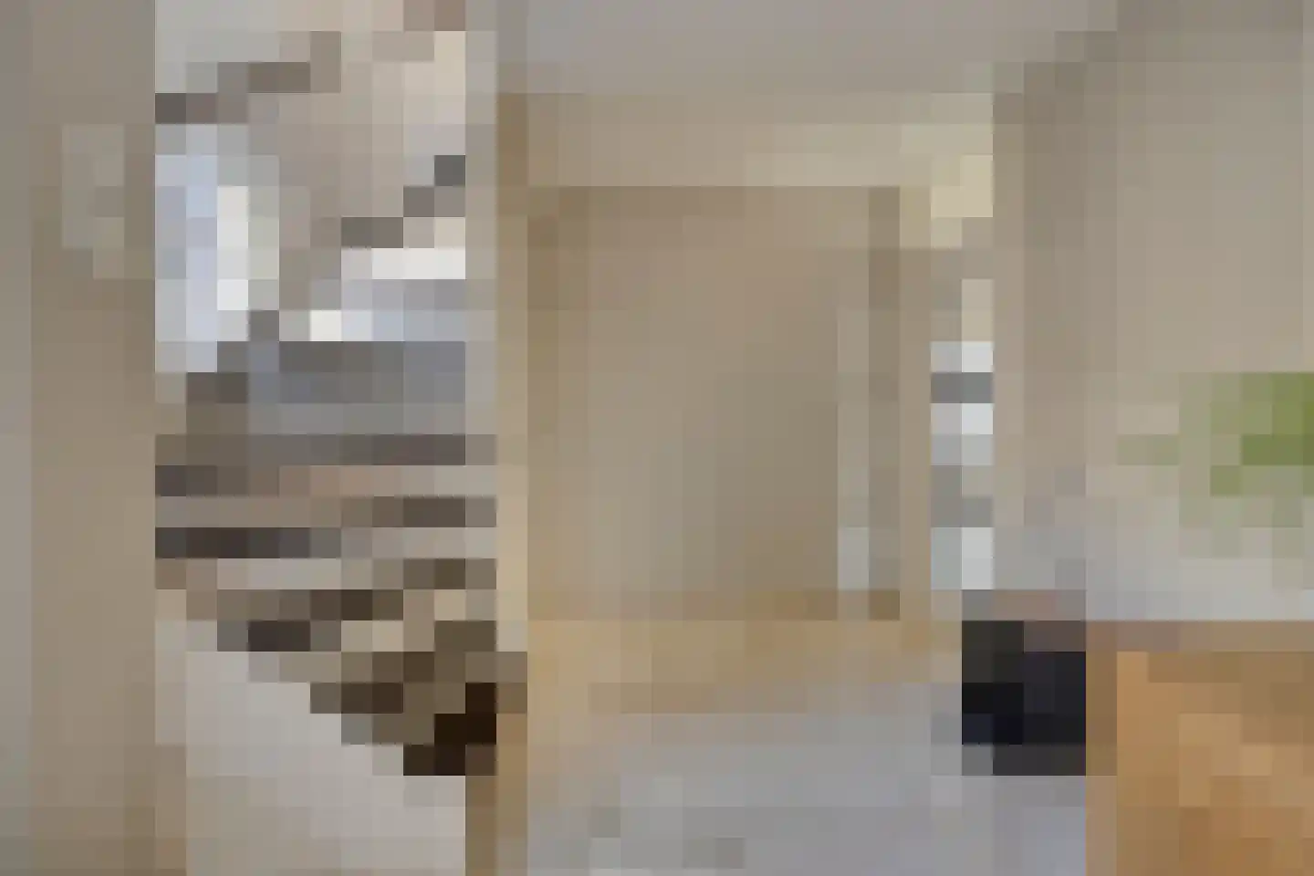 Vermiljoenstraat 6 Almere thumbnail 12