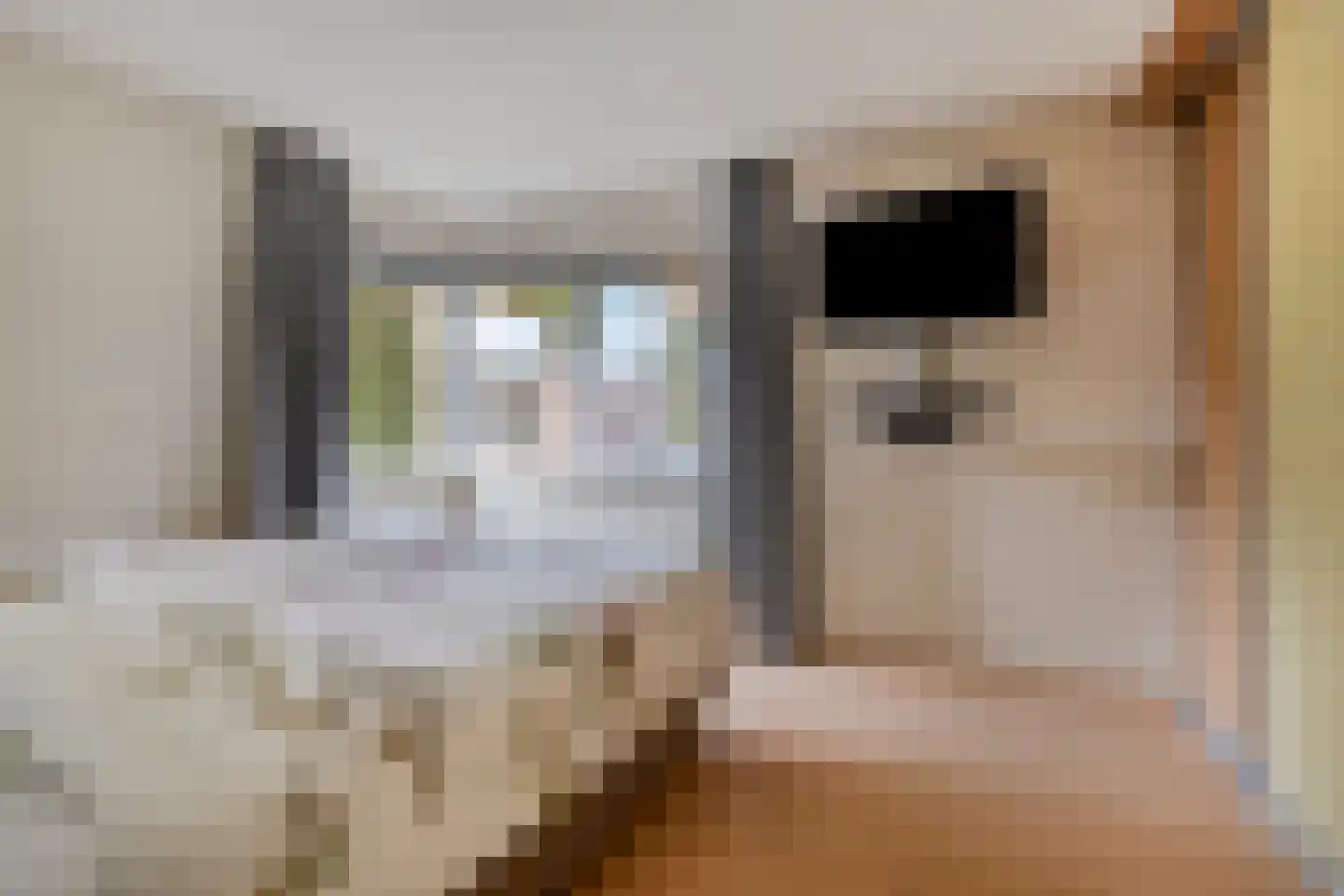 Vermiljoenstraat 6 Almere thumbnail 27