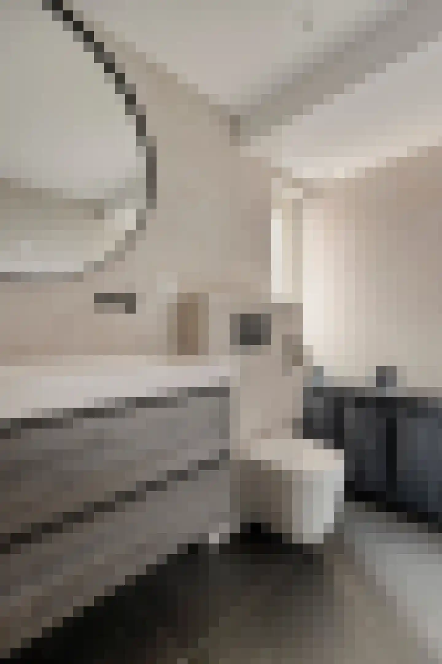 Vermiljoenstraat 6 Almere thumbnail 33