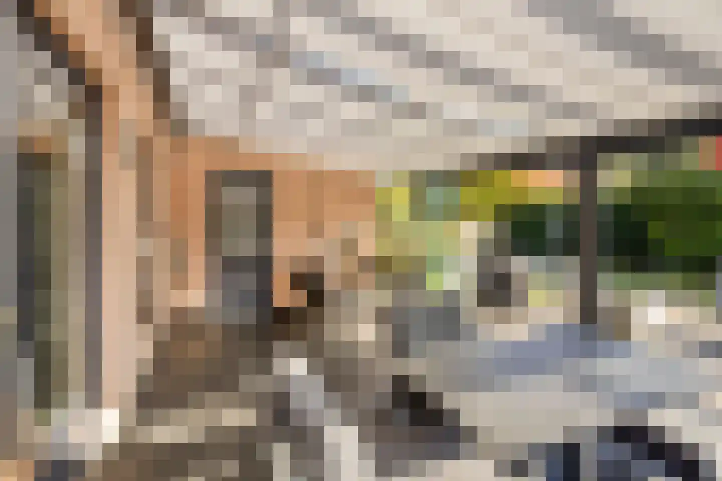Vermiljoenstraat 6 Almere thumbnail 43