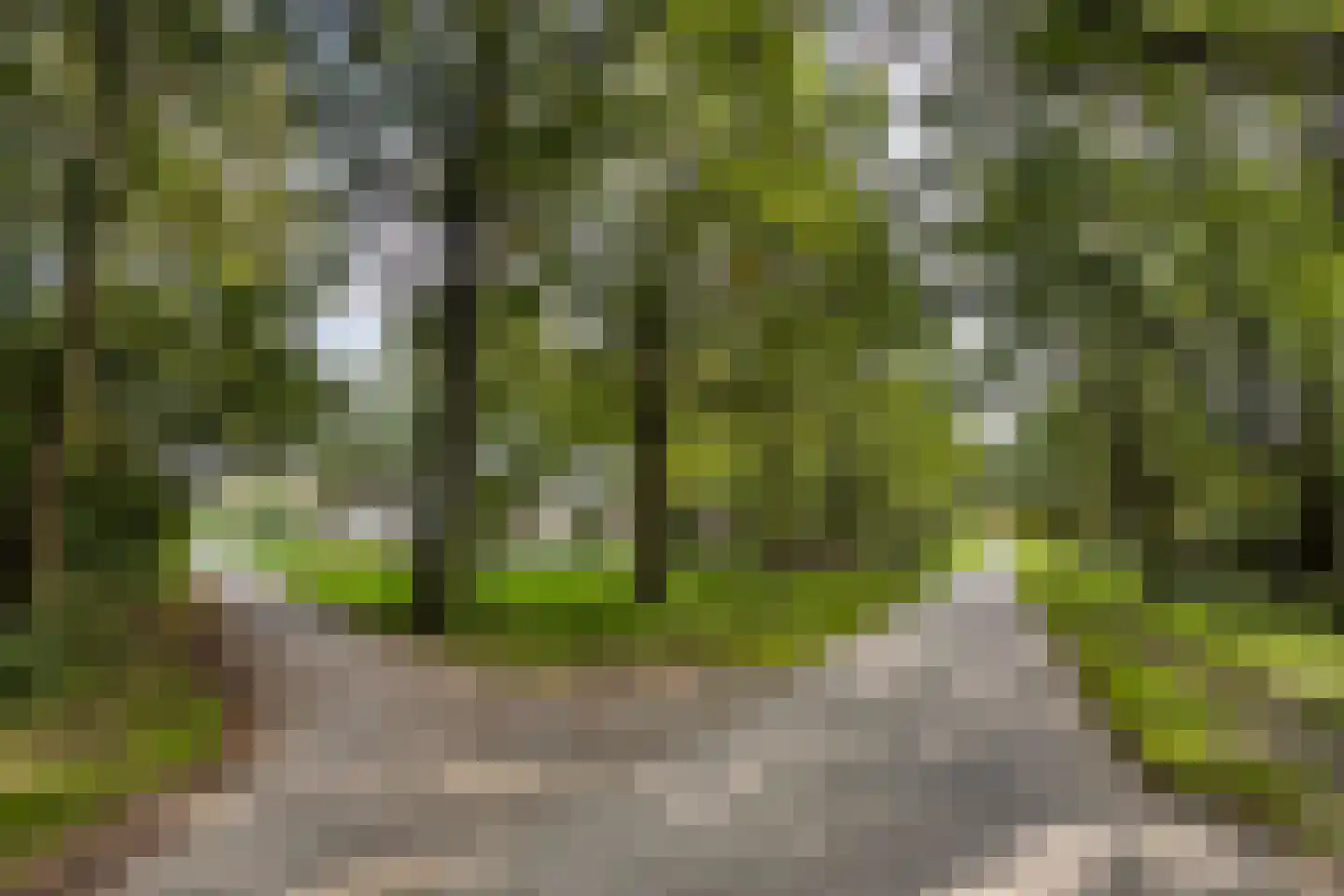 Vermiljoenstraat 6 Almere thumbnail 51