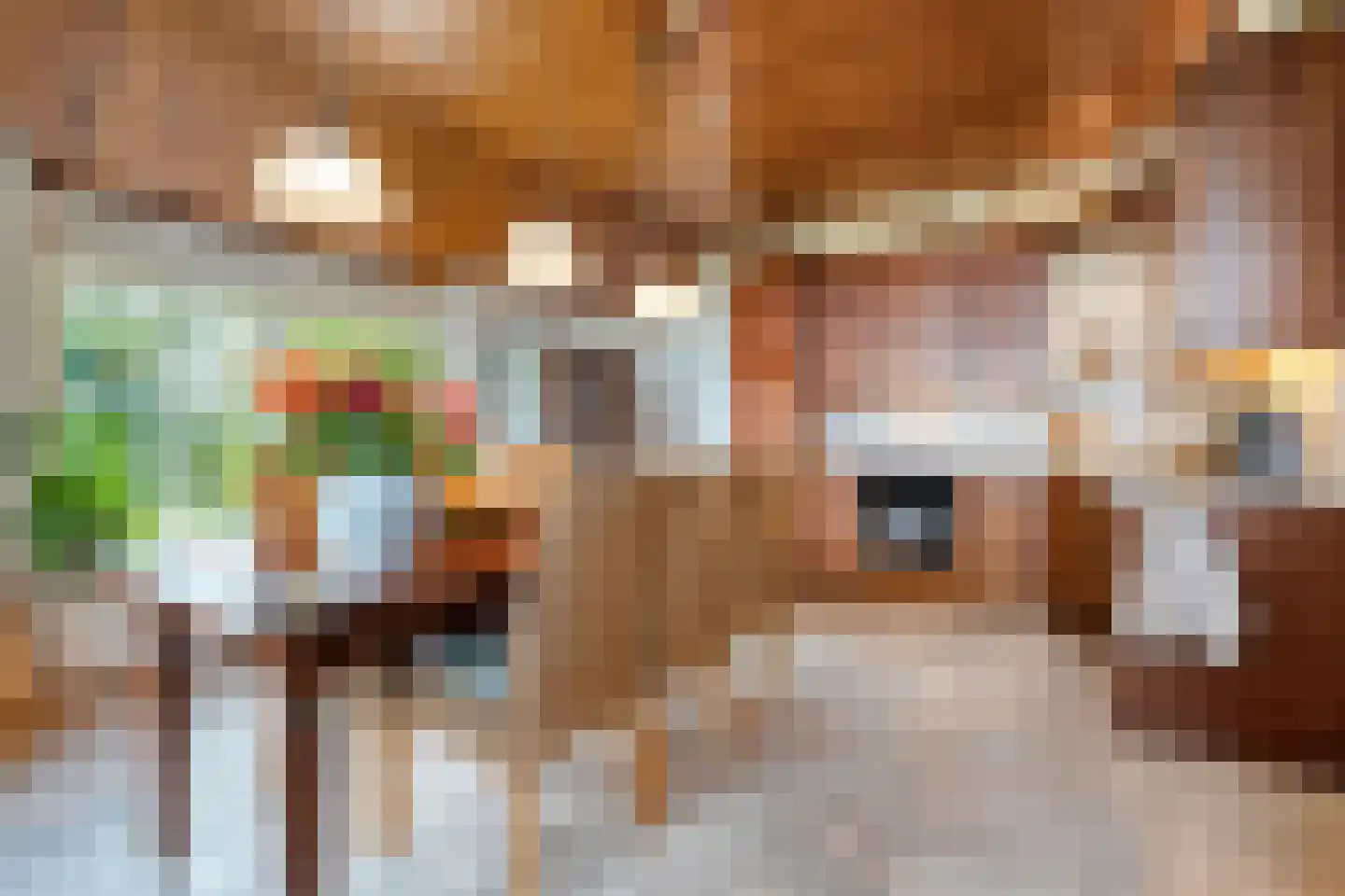 Vermolenweg 41 Geesteren thumbnail 11