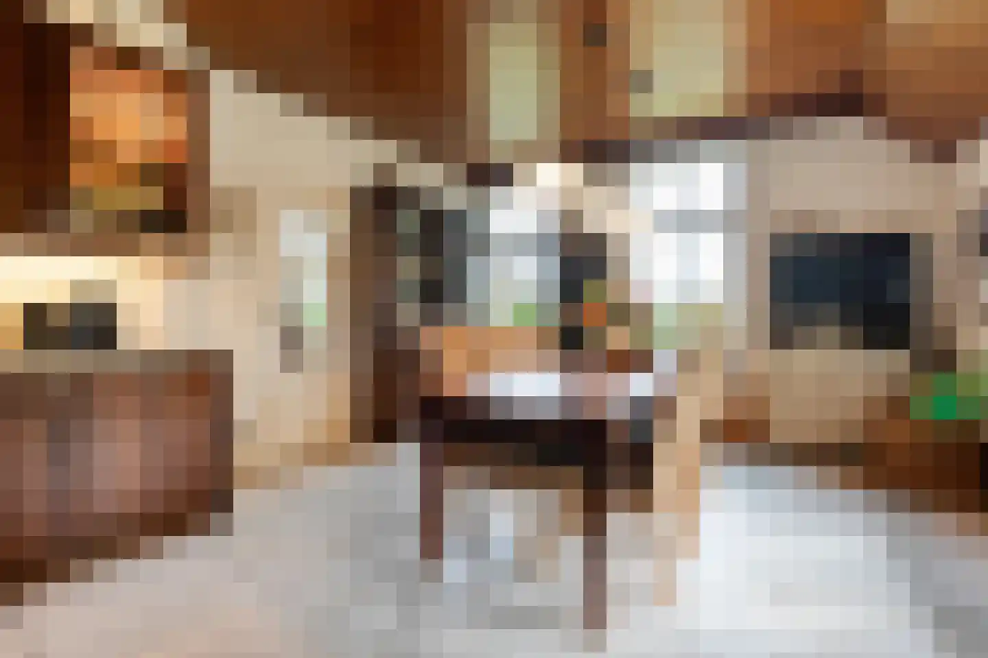 Vermolenweg 41 Geesteren thumbnail 12