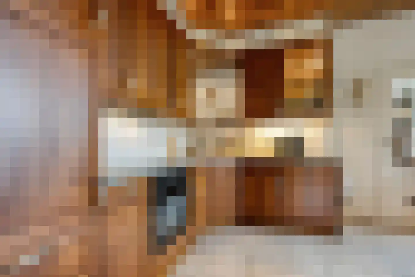 Vermolenweg 41 Geesteren thumbnail 13