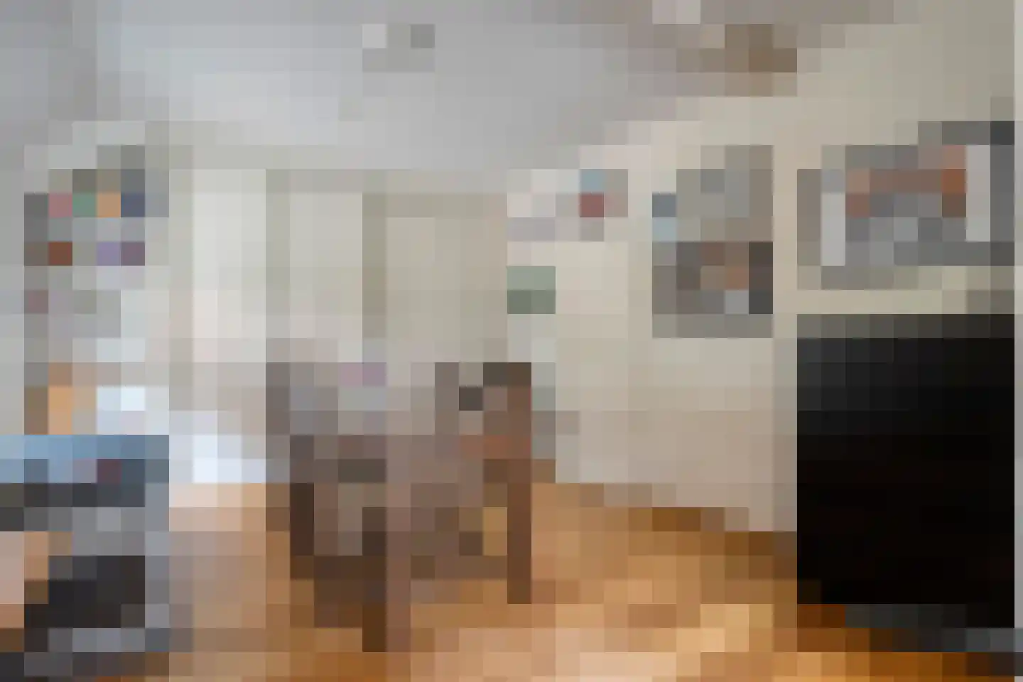 Vermolenweg 41 Geesteren thumbnail 15