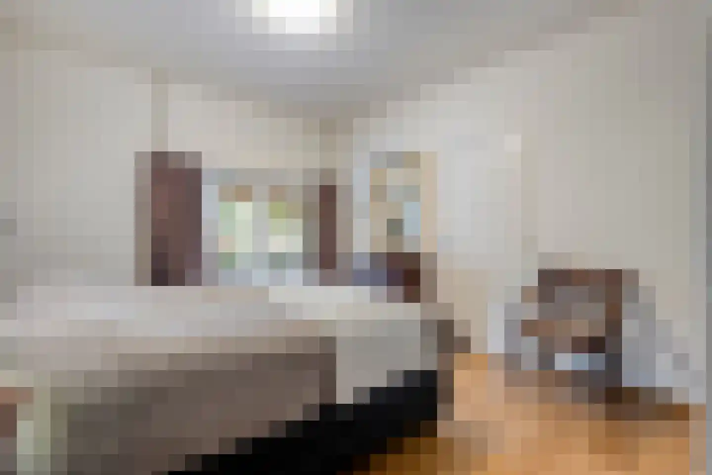 Vermolenweg 41 Geesteren thumbnail 18