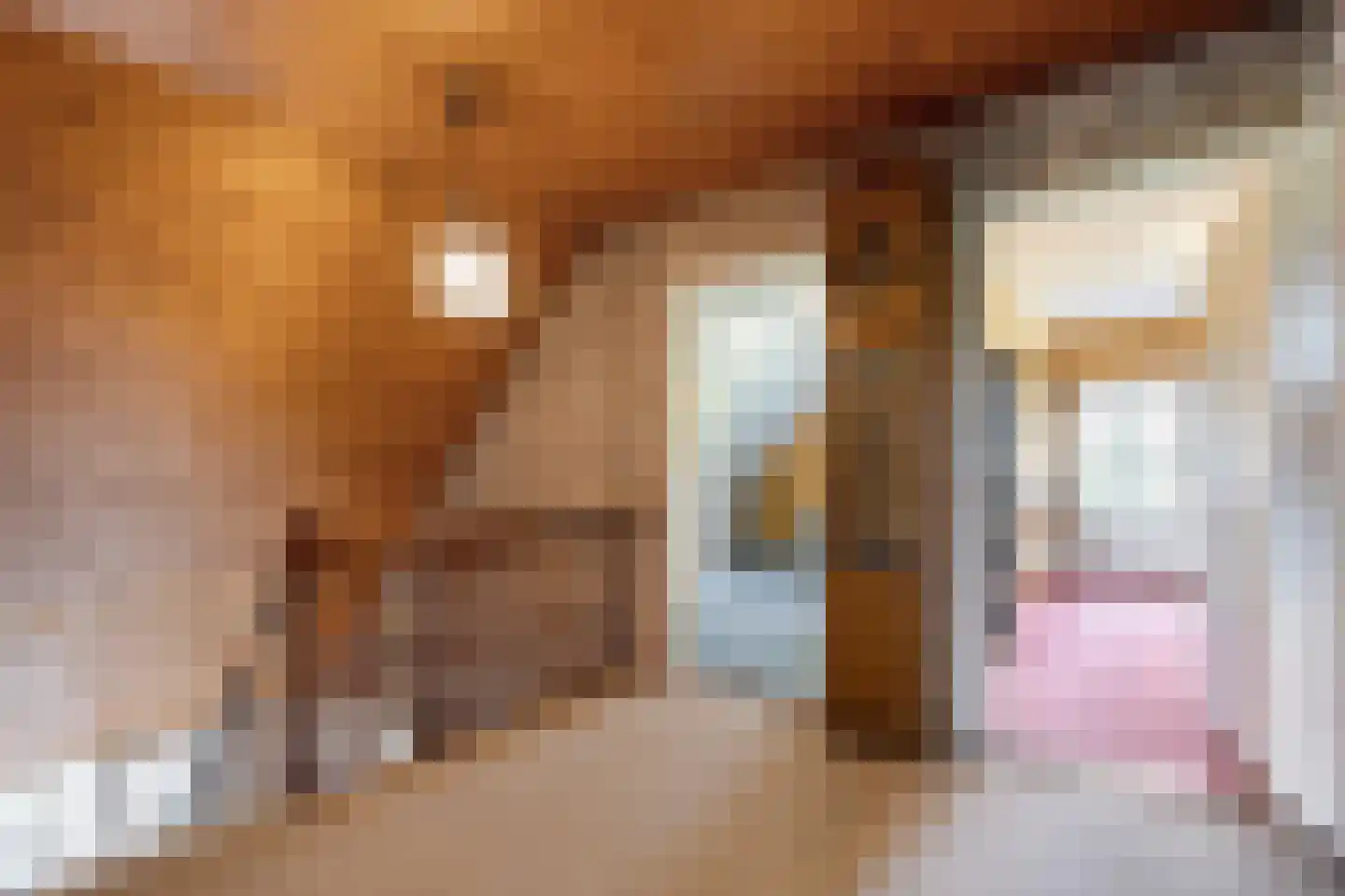 Vermolenweg 41 Geesteren thumbnail 22