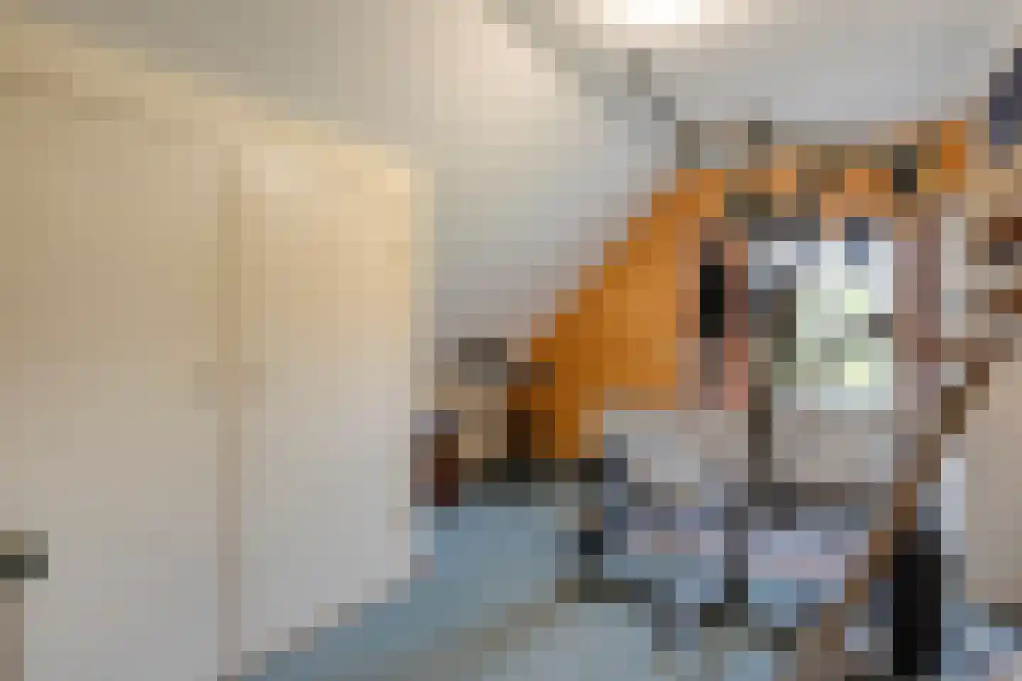 Vermolenweg 41 Geesteren thumbnail 24