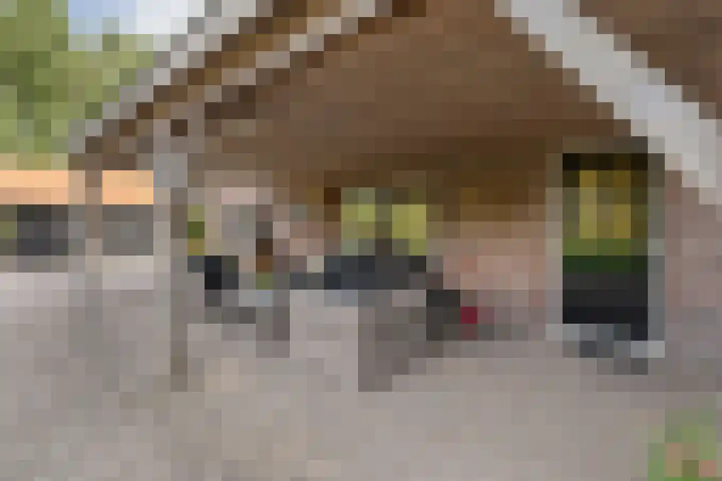 Vermolenweg 41 Geesteren thumbnail 27