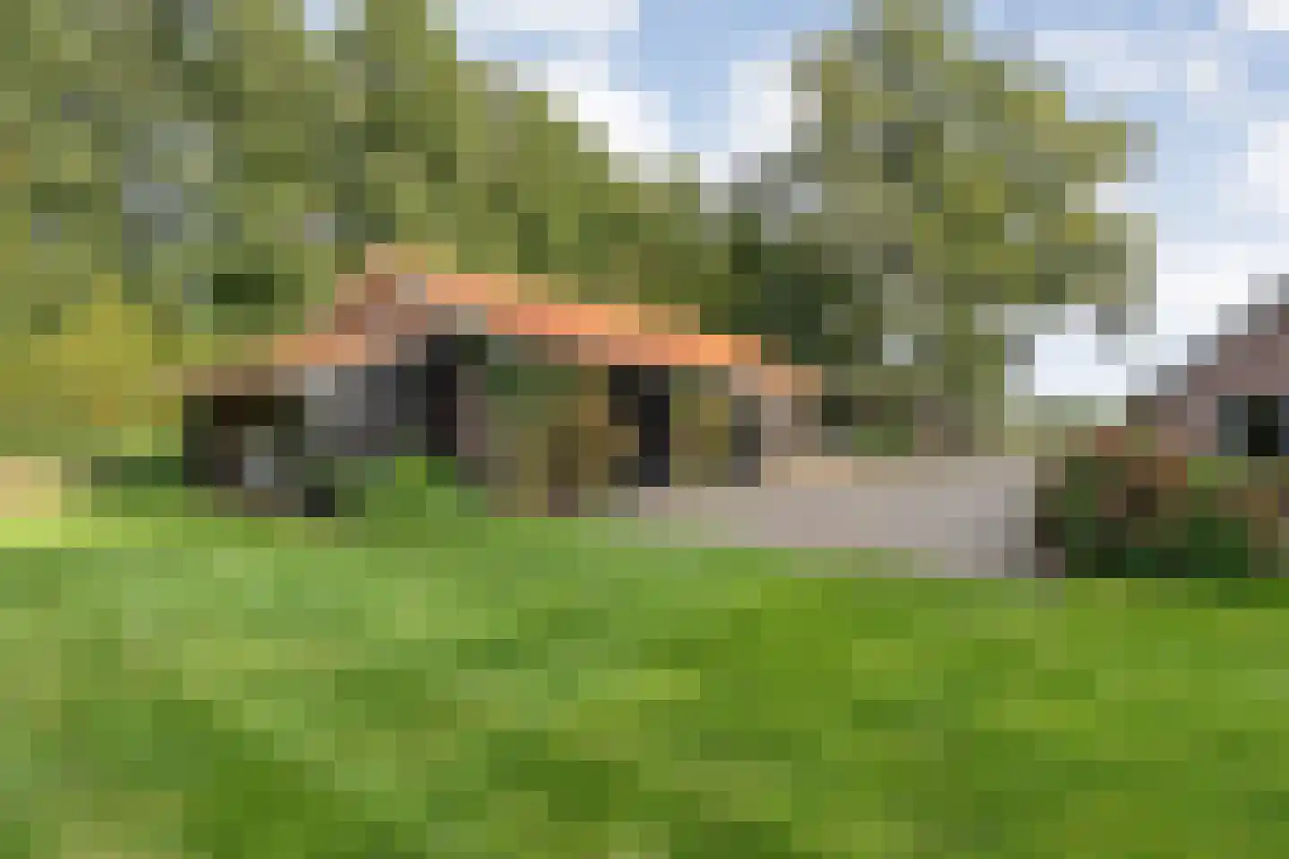 Vermolenweg 41 Geesteren thumbnail 35