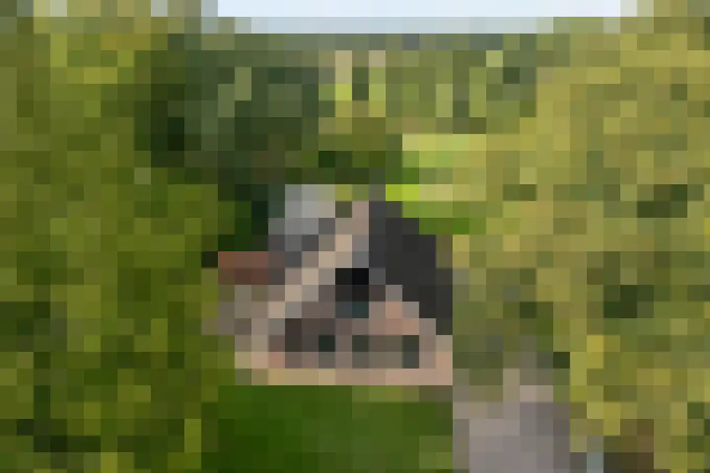 Vermolenweg 41 Geesteren thumbnail 37