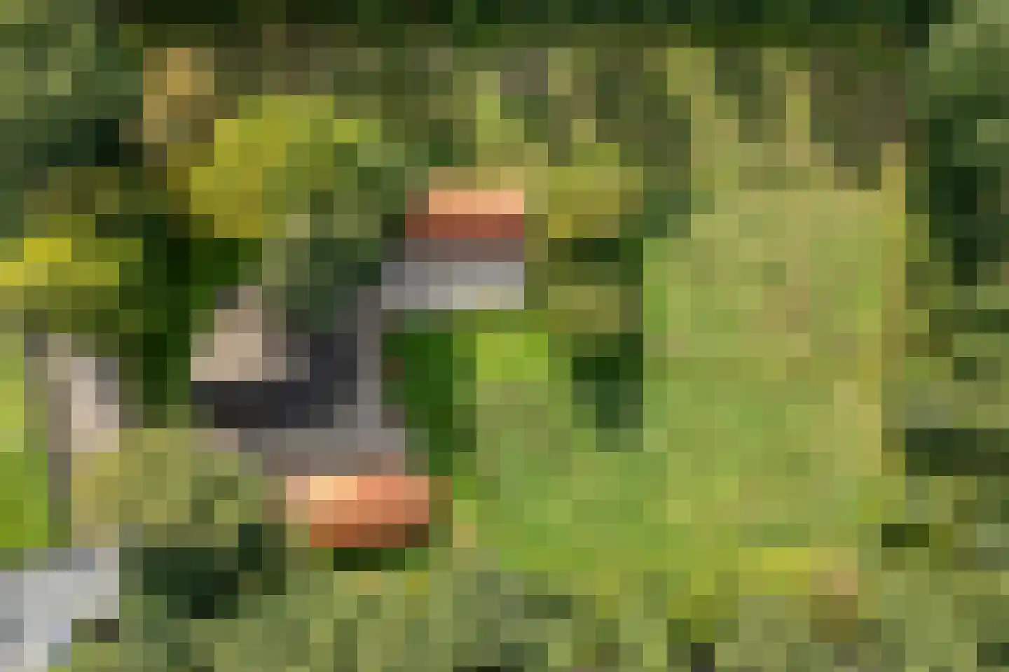 Vermolenweg 41 Geesteren thumbnail 38