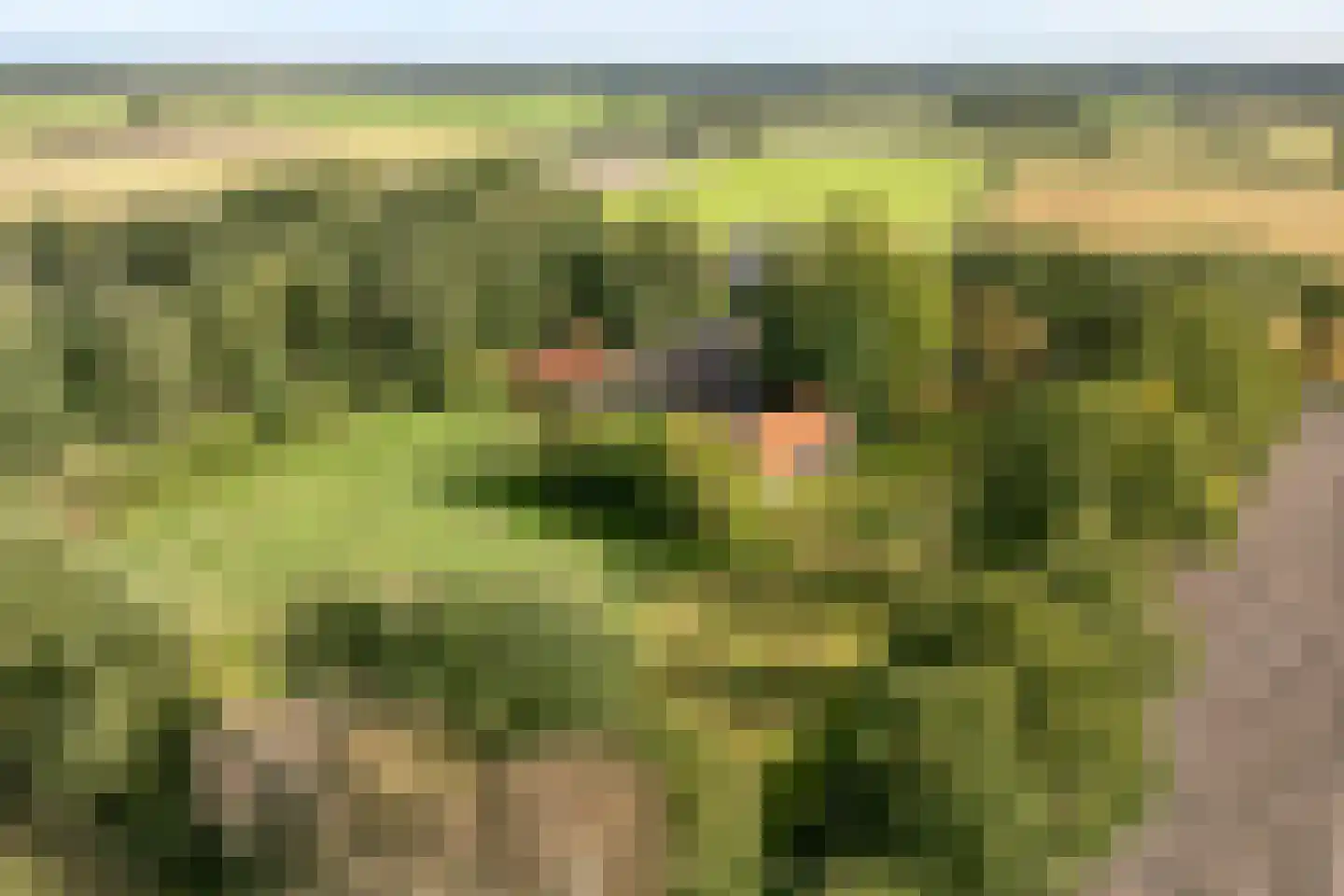 Vermolenweg 41 Geesteren thumbnail 39
