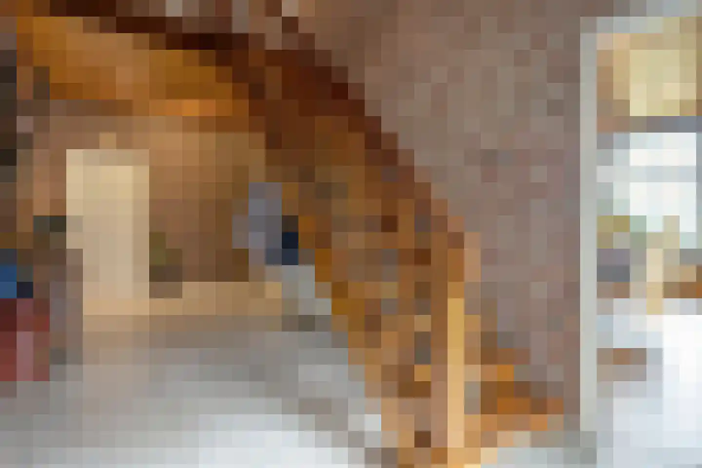 Vermolenweg 41 Geesteren thumbnail 6