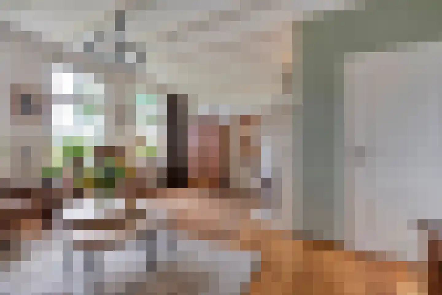 Vermolenweg 41 Geesteren thumbnail 7