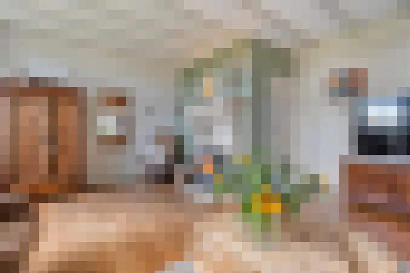 Vermolenweg 41 Geesteren thumbnail 8