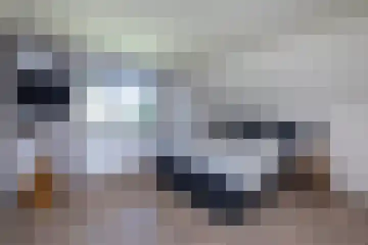 Vermolenweg 44 Geesteren thumbnail 14