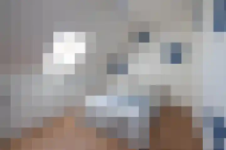 Vermolenweg 44 Geesteren thumbnail 16