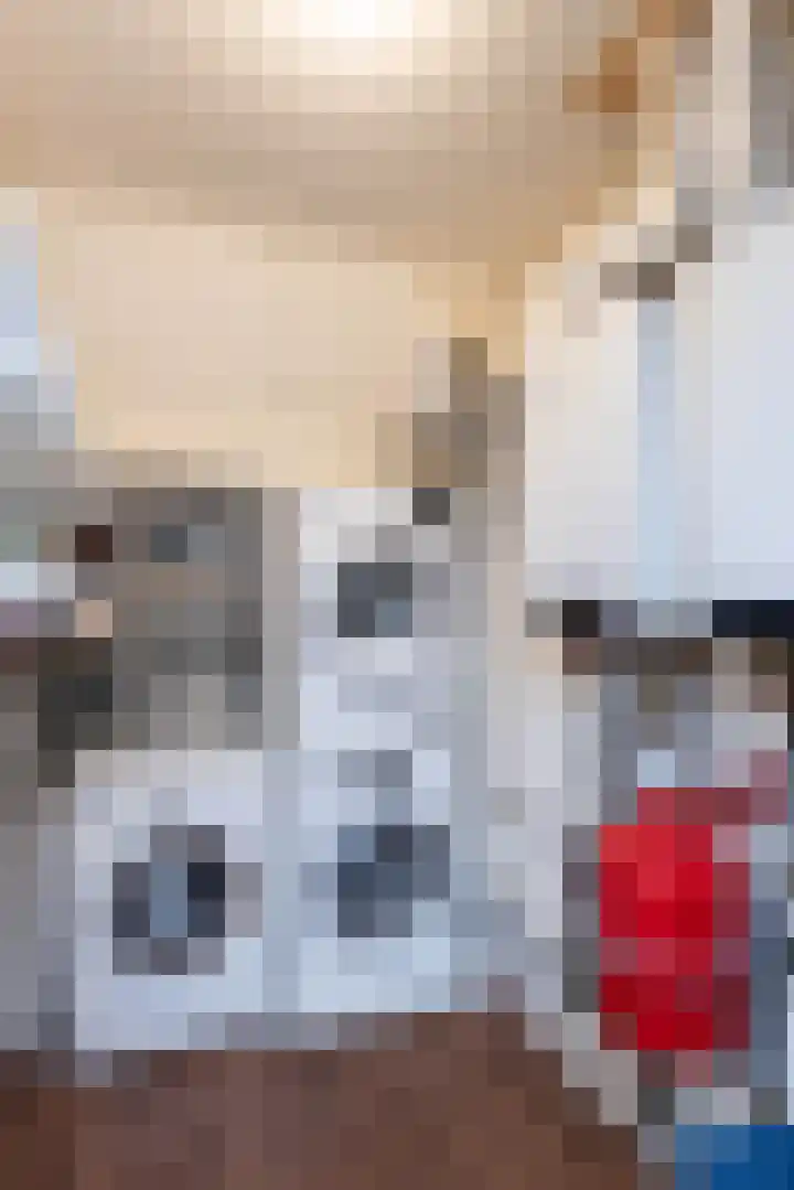 Vermolenweg 44 Geesteren thumbnail 21