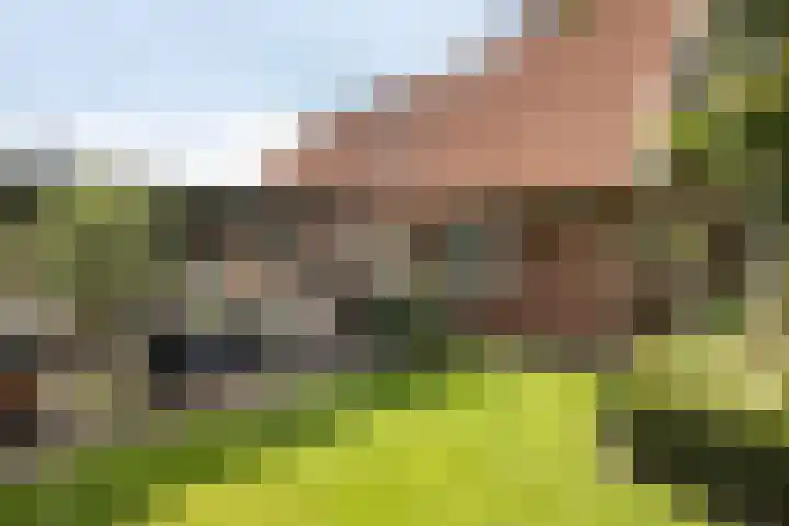 Vermolenweg 44 Geesteren thumbnail 23