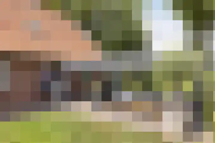 Vermolenweg 44 Geesteren thumbnail 24