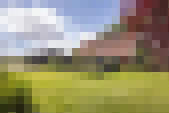 Vermolenweg 44 Geesteren thumbnail 26