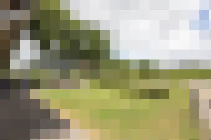 Vermolenweg 44 Geesteren thumbnail 27