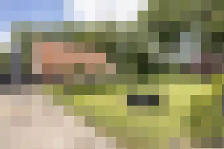 Vermolenweg 44 Geesteren thumbnail 28
