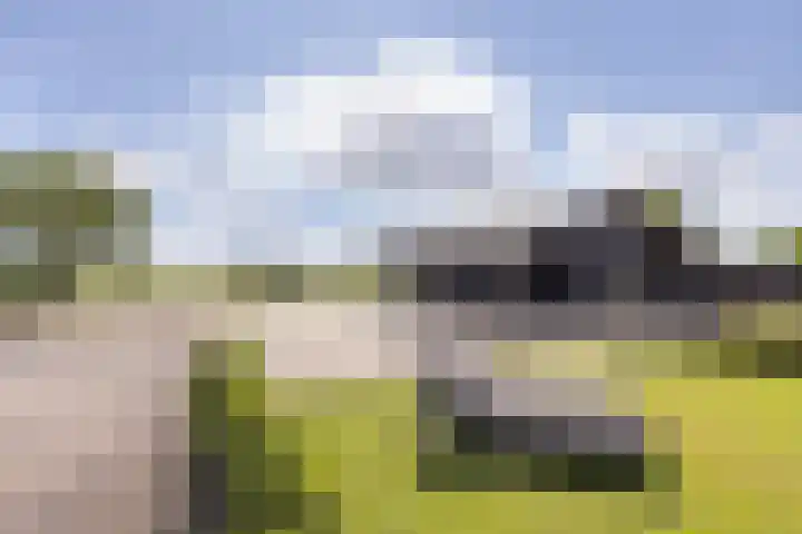 Vermolenweg 44 Geesteren thumbnail 29