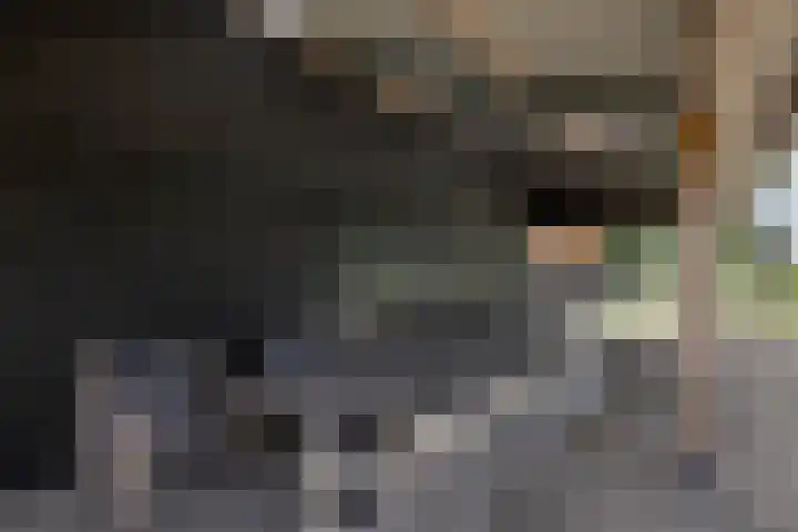 Vermolenweg 44 Geesteren thumbnail 31