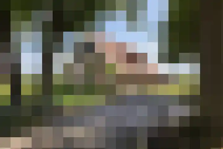 Vermolenweg 44 Geesteren thumbnail 33